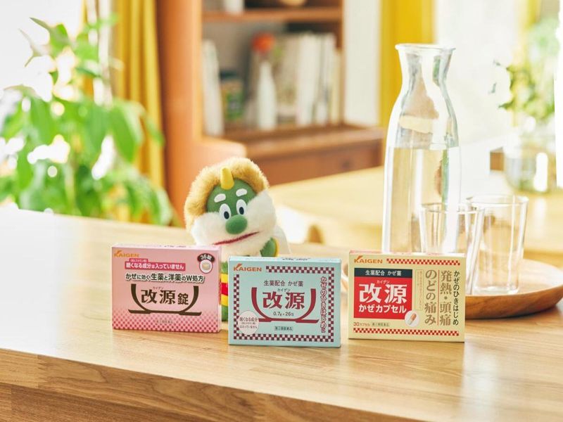 カイゲンファーマ株式会社