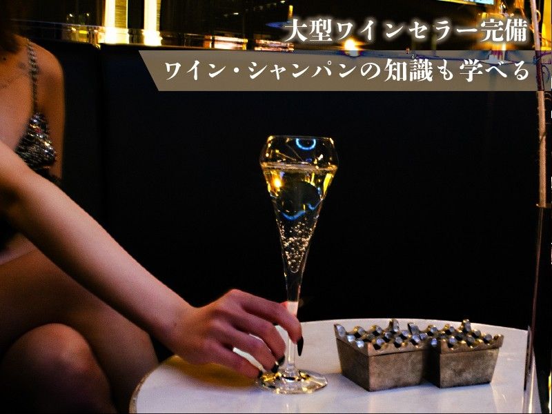 VICTORIA ~TOKYO NEO GEISHA LOUNGE~のアルバイト・バイト求人情報-02