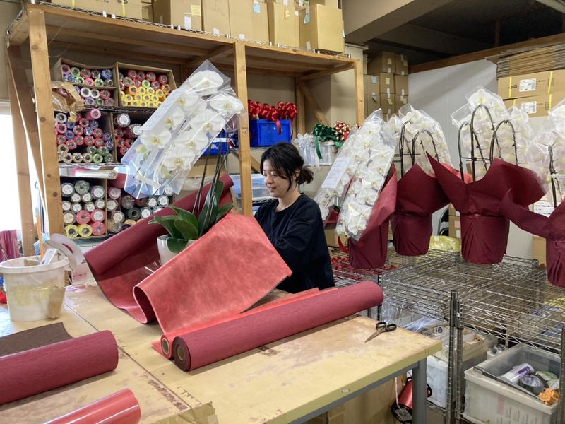 アートグリーン株式会社の求人・転職情報