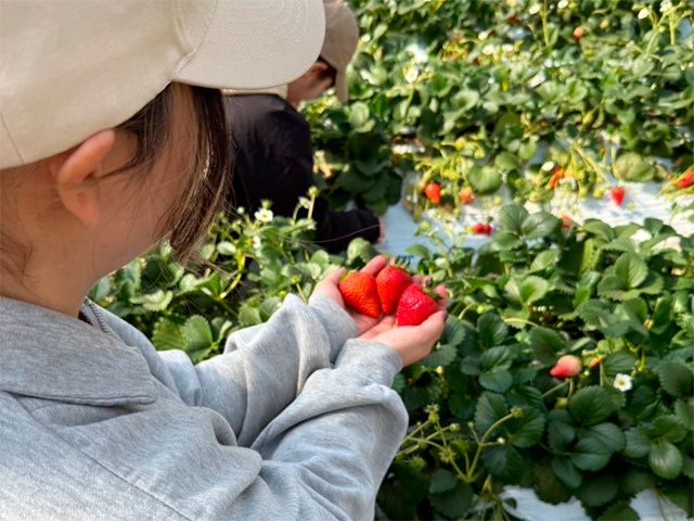 株式会社NOKAのアルバイト・バイト求人情報-02