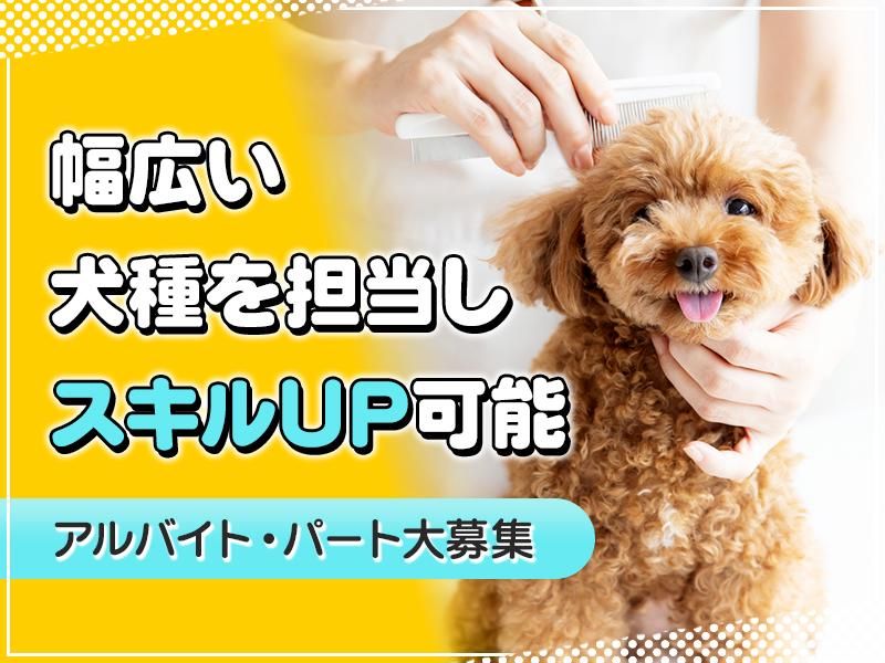 Dog Salon Cha-Chaのアルバイト・バイト求人情報-02