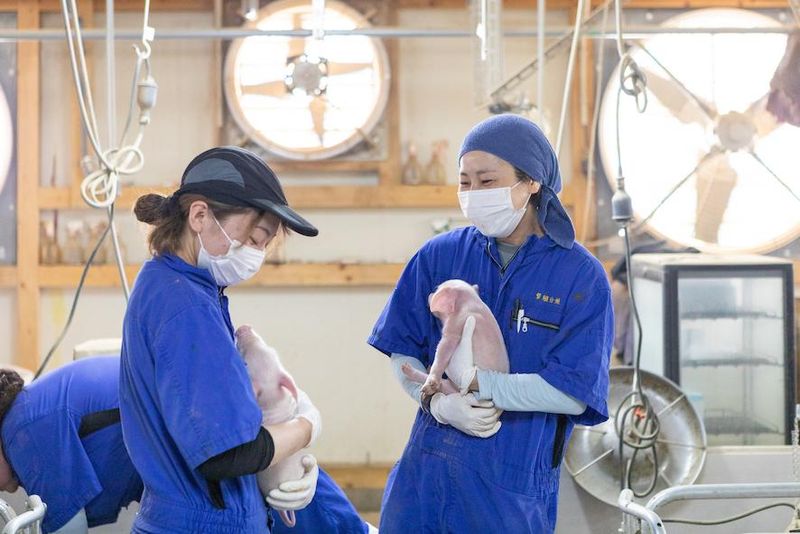 タローファーム株式会社のアルバイト・バイト求人情報-02