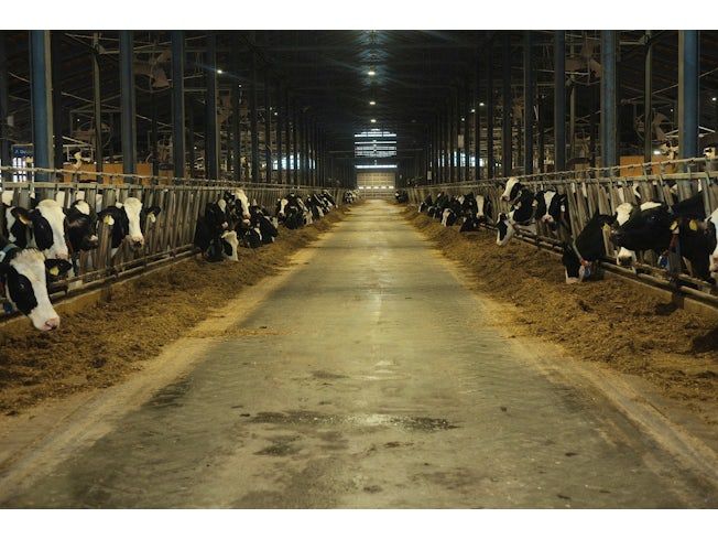 株式会社えみんぐのアルバイト・バイト求人情報-03