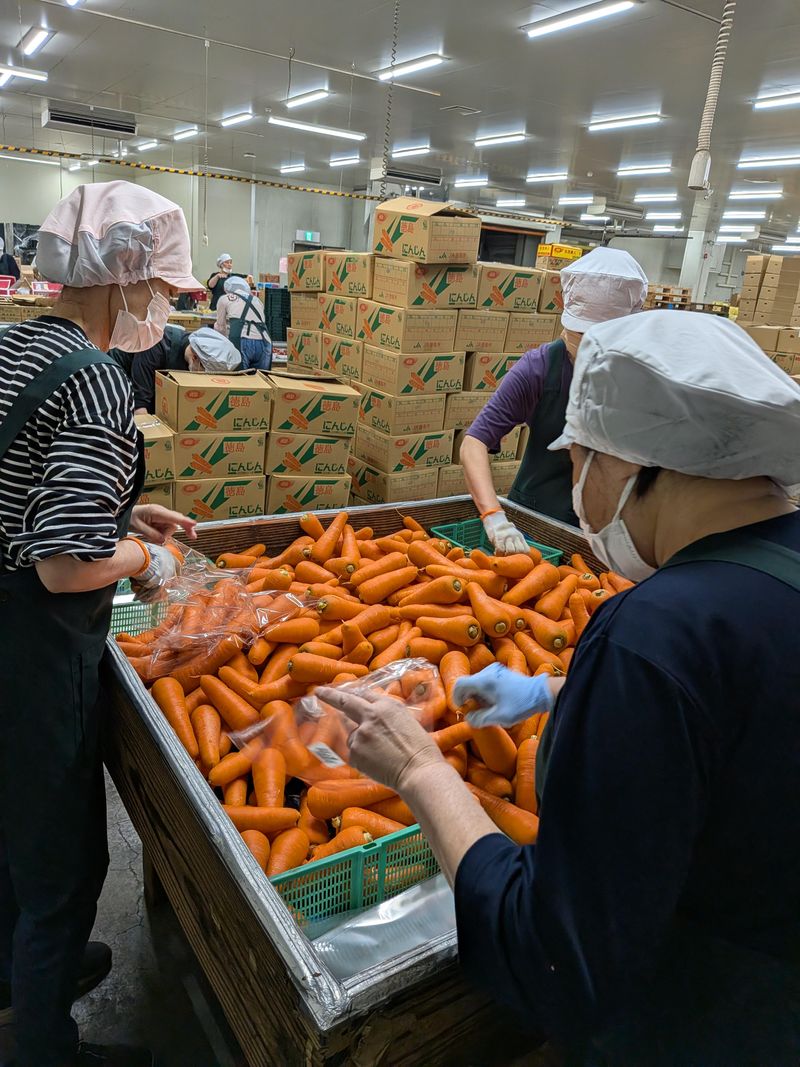 株式会社　早川食品のアルバイト・バイト求人情報-02