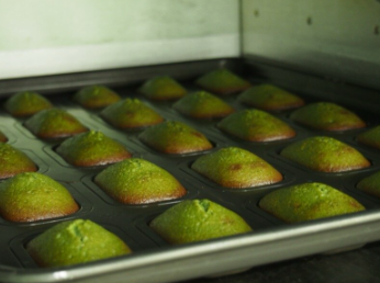 株式会社中村藤吉本店-0002の求人・転職情報