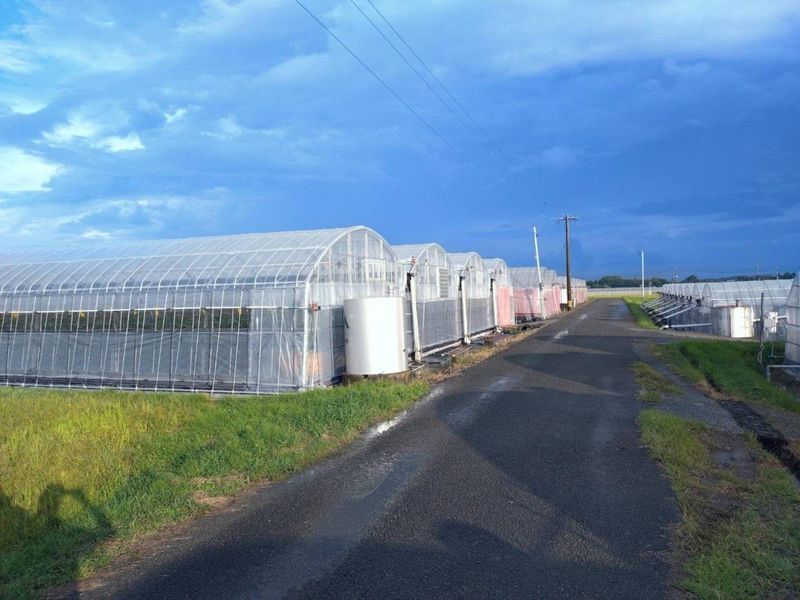 大野農園のアルバイト・バイト求人情報-02