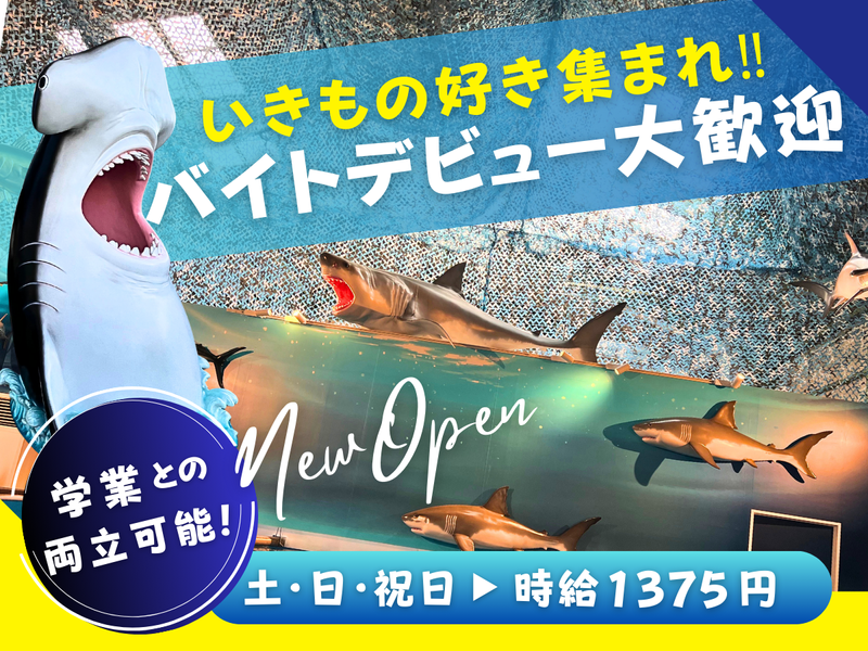 釣って見つけるぼうけんの国 相模原上溝店のアルバイト・バイト求人情報-36
