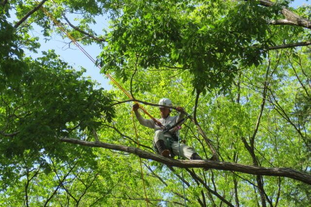 株式会社豊橋園芸ガーデンのアルバイト・バイト求人情報-02