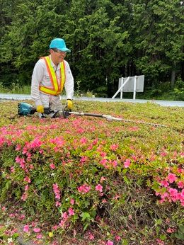 株式会社ダイナムの求人・転職情報