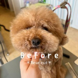 Pet's One 北本店のアルバイト・バイト求人情報-03