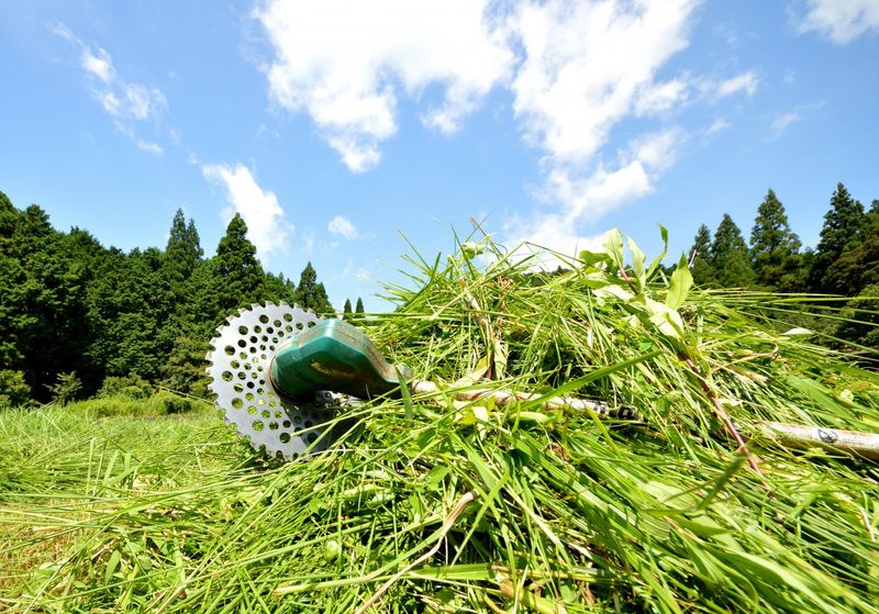 株式会社峯尾造庭園の求人・転職情報