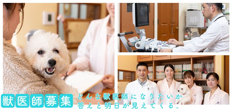 しろうま動物病院の求人・転職情報