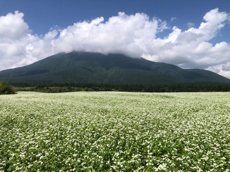 店舗のアルバイト・バイト求人情報-01