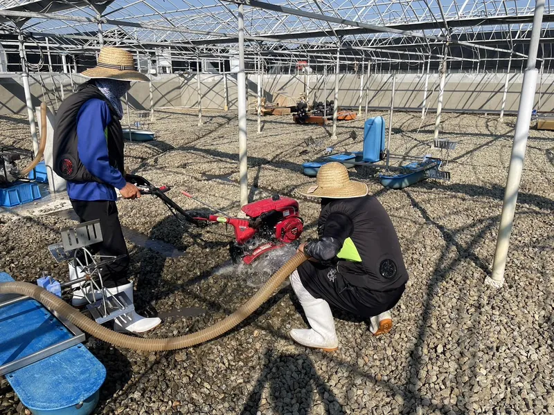 有限会社日髙養鰻の求人・転職情報