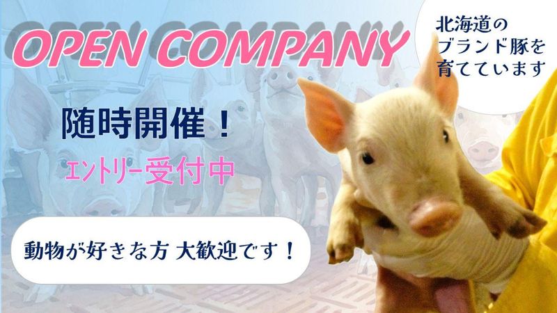 羽幌|四元豚「ゆめの大地」について学ぶ✨