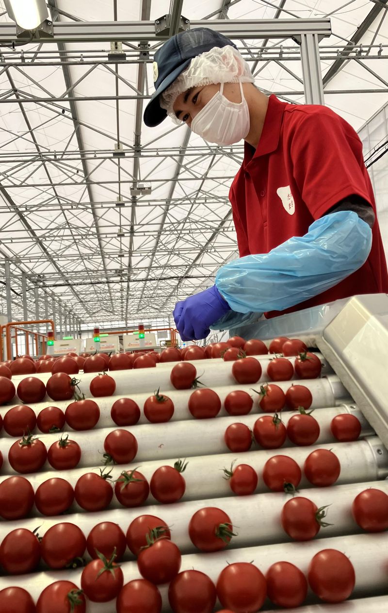 株式会社たねまき常総のアルバイト・バイト求人情報-01