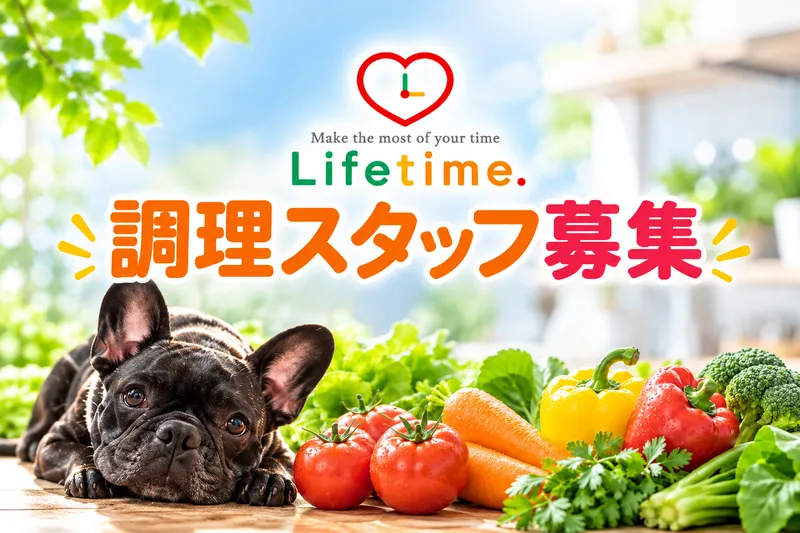 株式会社ライフタイム.のアルバイト・バイト求人情報