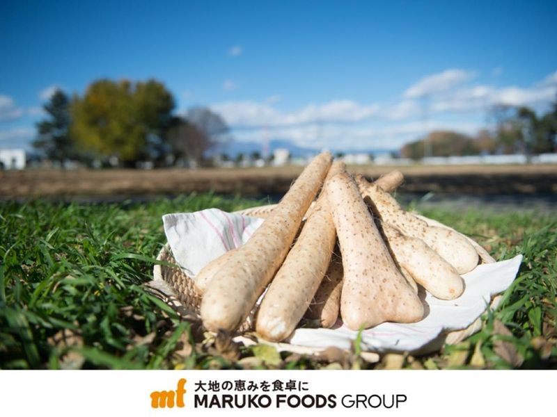 マルコーフーズ株式会社