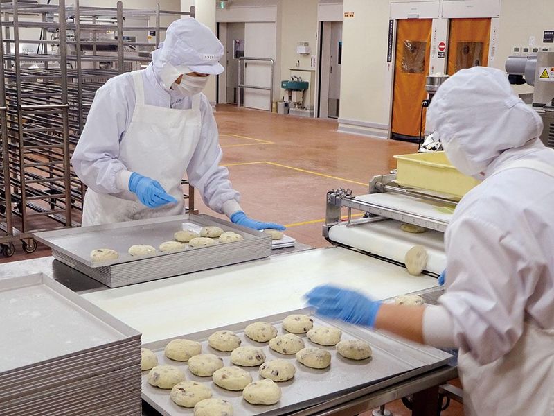 株式会社ローリーの求人・転職情報