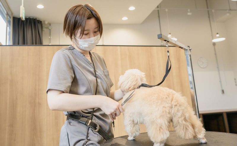 dog funのアルバイト・バイト求人情報-01