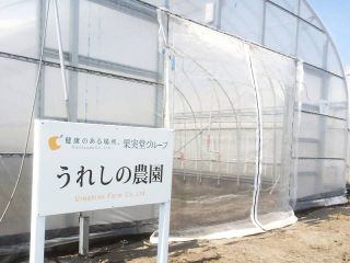 うれしの農園株式会社の求人・転職情報