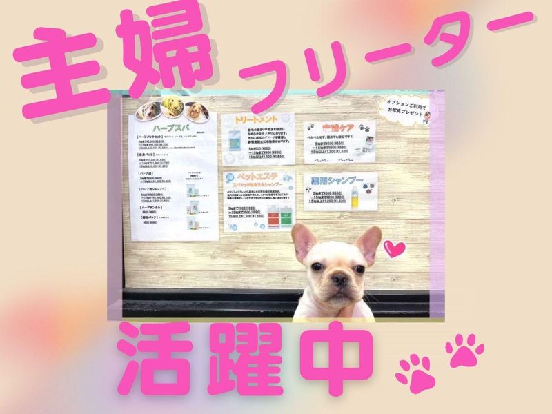 有限会社ユーフォリアの求人・転職情報