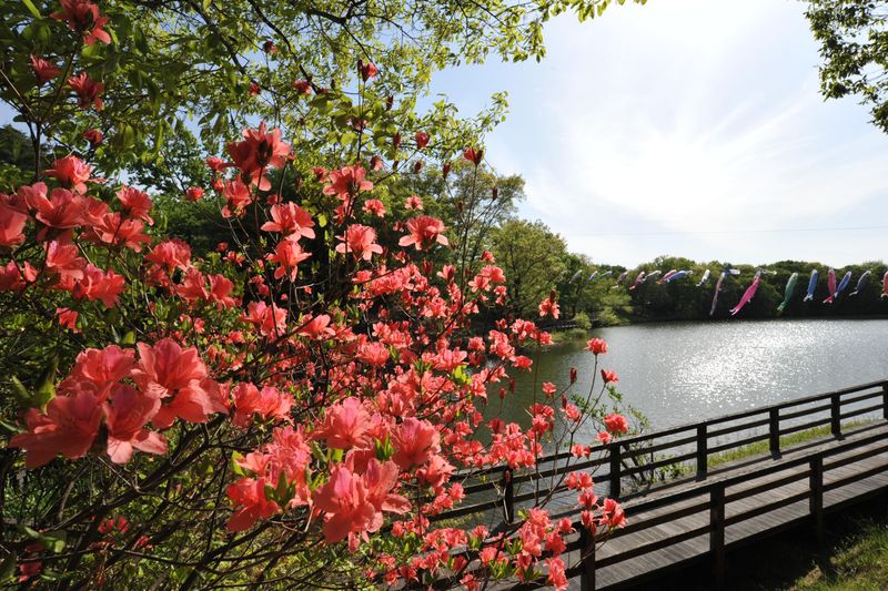 一般財団法人公園財団　まんのう公園管理センターのアルバイト・バイト求人情報-04