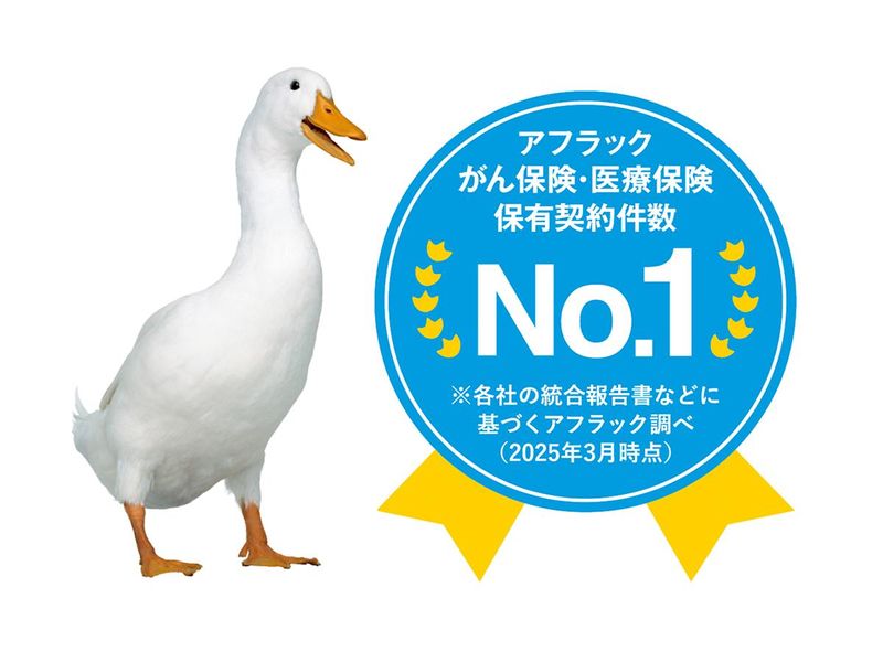 アフラック生命保険株式会社の求人・転職情報