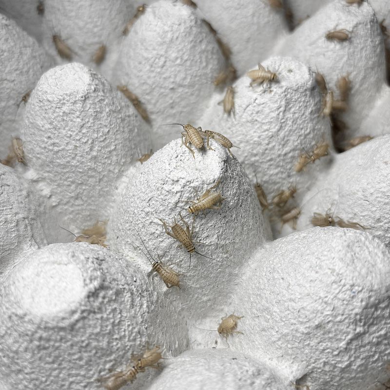 養殖場のアルバイト・バイト求人情報-02