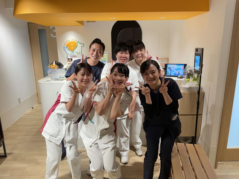 リーフ動物病院の派遣求人情報