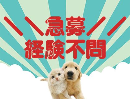 ペットの専門店コジマ　アリオ葛西店のアルバイト・バイト求人情報-41