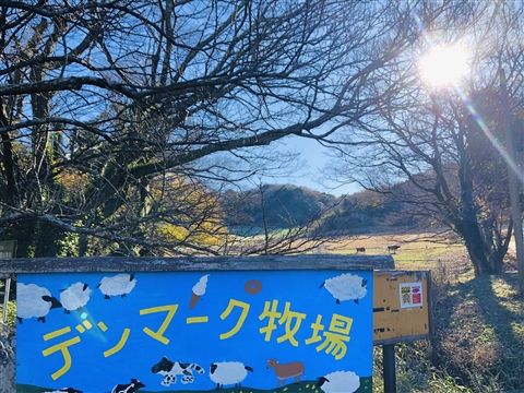 社会福祉法人デンマーク牧場福祉会 就労支援 いぶき
