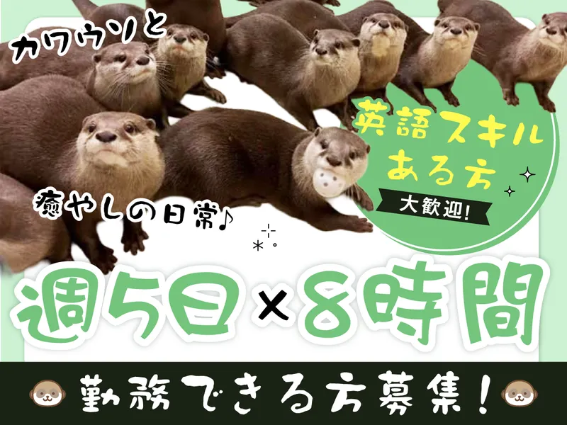 若林の家のアルバイト・バイト求人情報-04