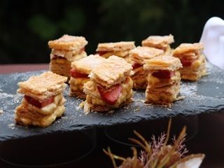 フィールドサーブジャパン 営業第1グループの派遣求人情報