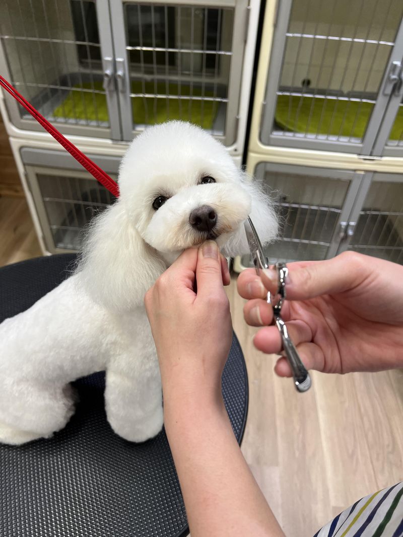 有限会社DOGNEWSのアルバイト・バイト求人情報-04