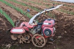 TOKENネットワーク株式会社のアルバイト・バイト求人情報-22