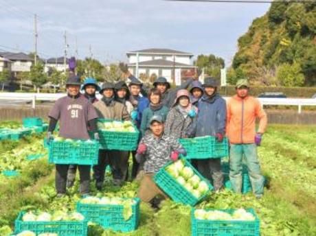 株式会社やさいの樹の求人・転職情報
