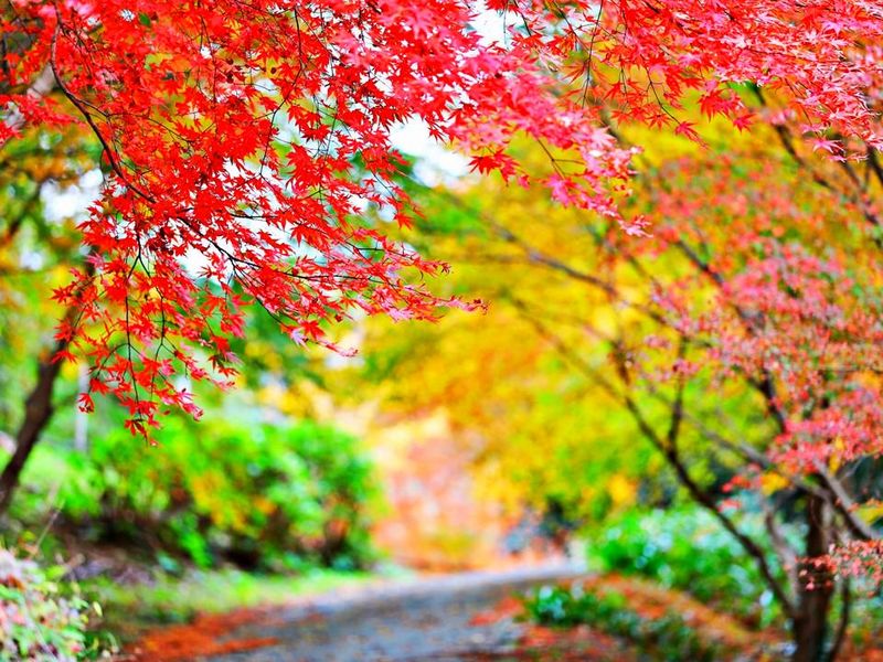 ブリヂストン奥多摩園(メルコリゾートサービス株式会社)のアルバイト・バイト求人情報-03