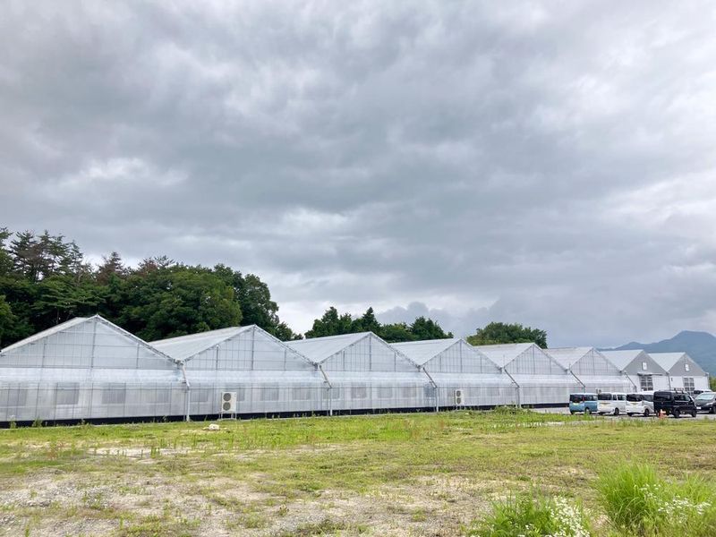 ベルグ福島株式会社の求人・転職情報