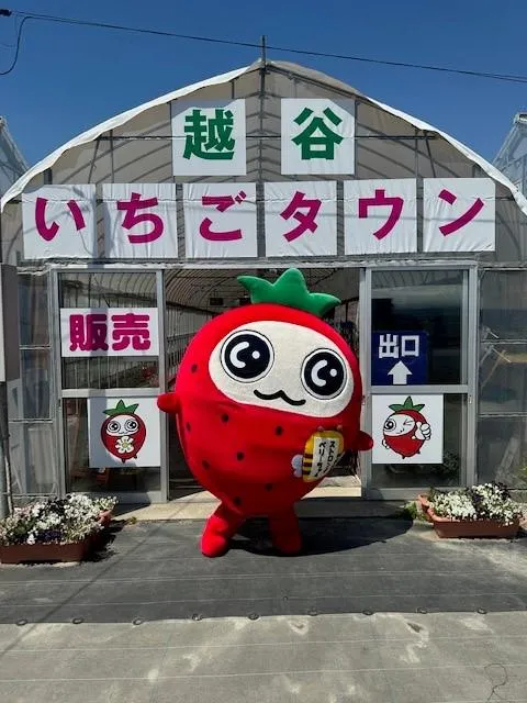 株式会社越谷いちごタウンのアルバイト・バイト求人情報