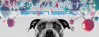 ブレインシール株式会社