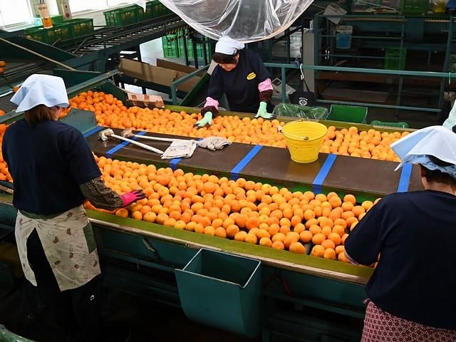 駿遠運送　浜松支店の求人情報