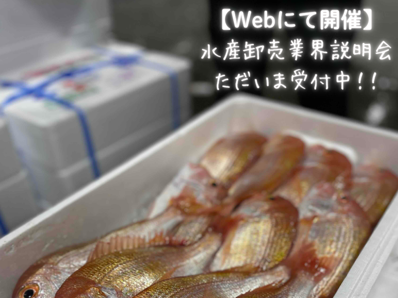 【web×60分】水産卸売業界説明会