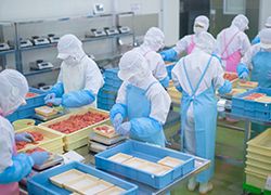 日総 ブレイン株式会社