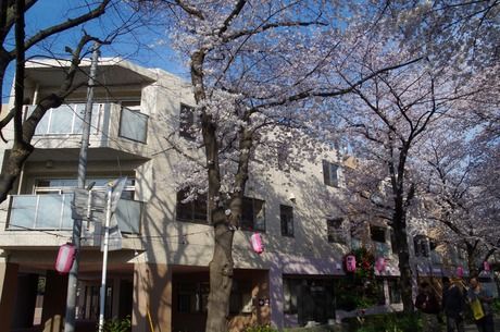 社会福祉法人ぱるの求人・転職情報