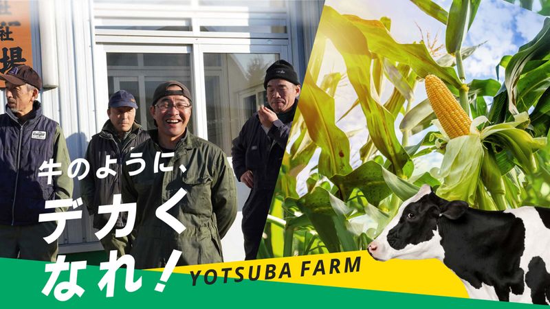 株式会社よつ葉牧場-0001の求人・転職情報