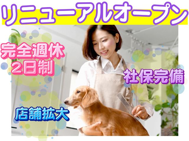onlyワンの求人・転職情報