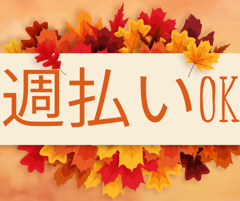 株式会社スカイキャリア(派遣先:佐賀県鳥栖市)FUK075