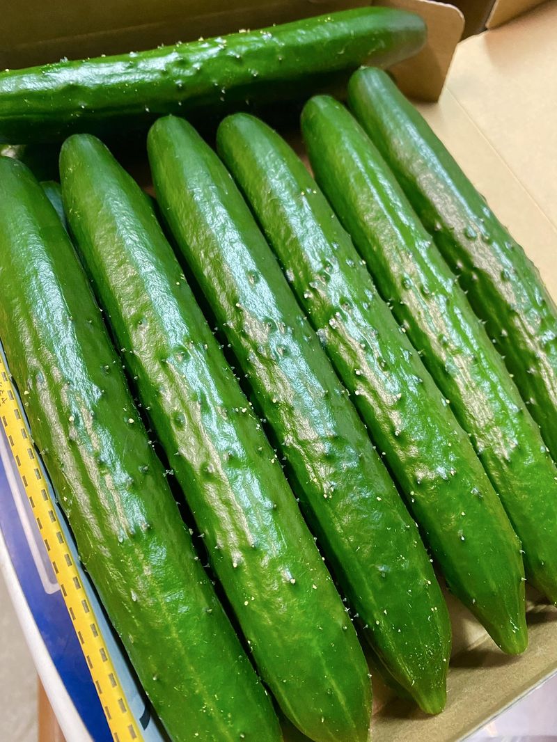 株式会社DHARMAのアルバイト・バイト求人情報-03