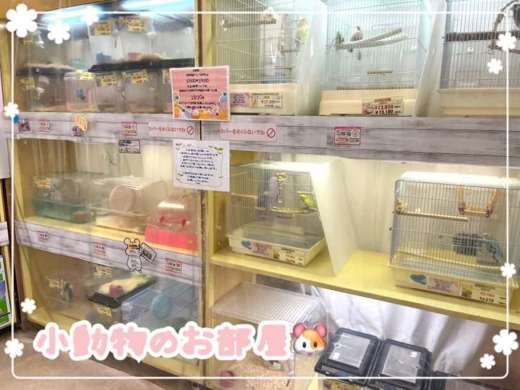 ペットショップPCP八王子みなみ野のアルバイト・バイト求人情報-04